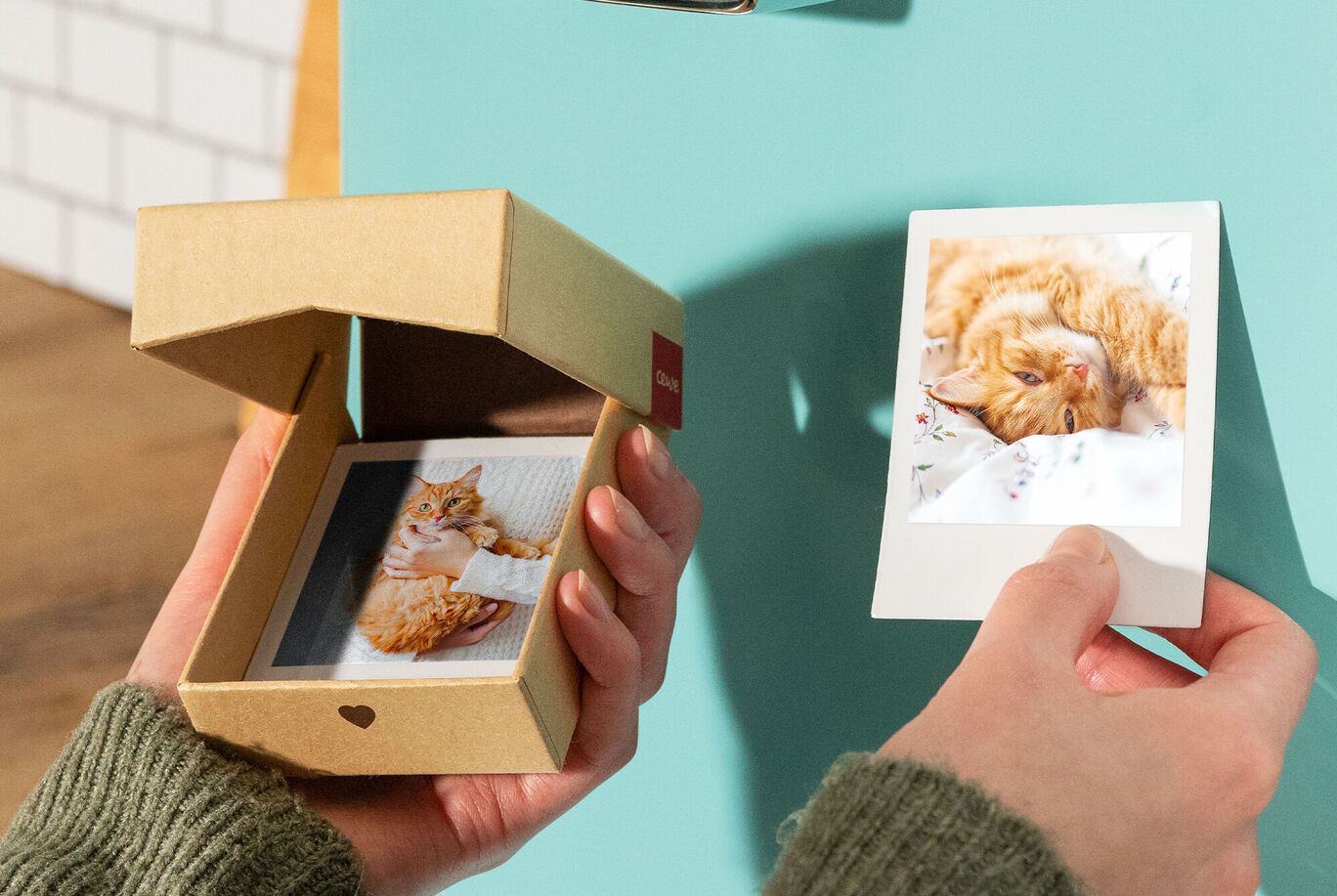 Eine Person hält ein Polaroid eines niedlichen Katers in einer Hand, während sie eine Box mit weiteren Fotos in der anderen Hand hält