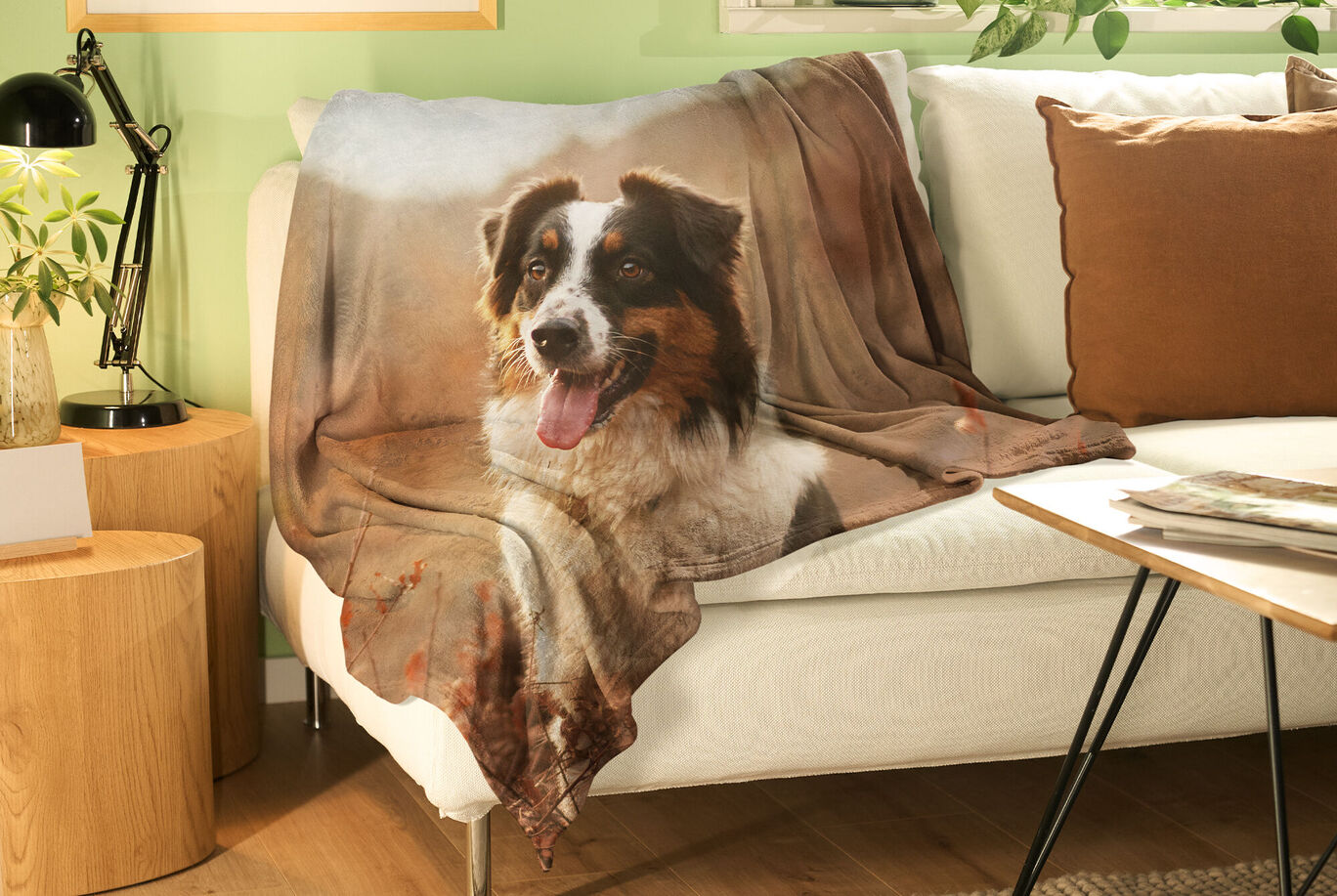 Gemütliche Decke mit einem lächelnden Hund darauf, auf einem Sofa.